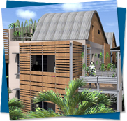 POMME D'AMOUR, Saint Denis, la Runion