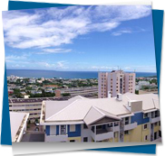 TOURTEREAUX, Saint Denis, la Runion